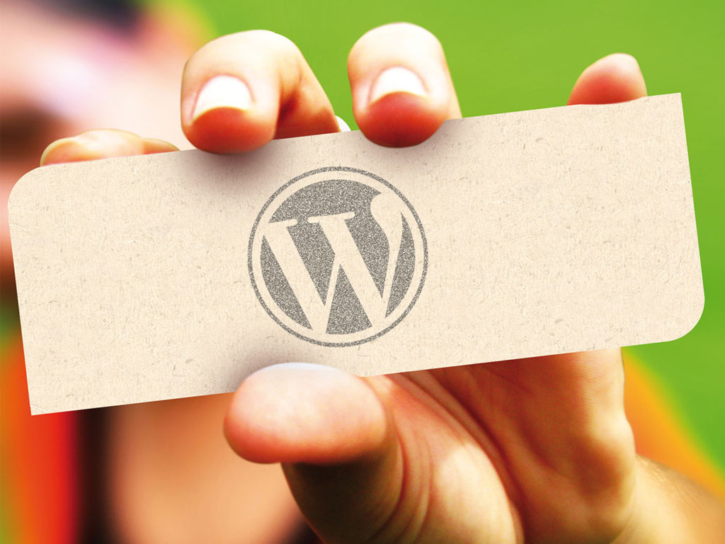 WordPress: handling user meta